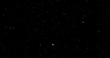 Düşen animasyon kar. Siyah arka plan üzerine izole