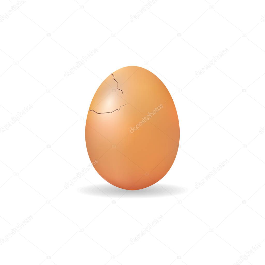 Single cracked egg. Egg with damage and showing lines on the surface from having split without coming apart. Isolated on white background. Vector.