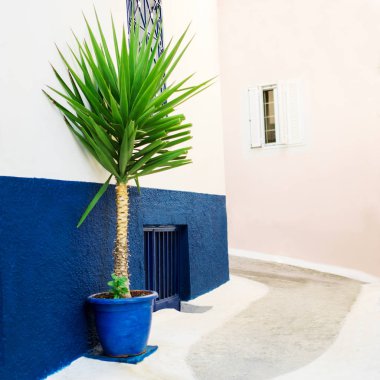 Geleneksel Yunanistan beyaz ve mavi hurma ile sokak