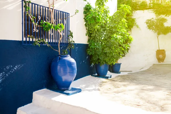 Grecia tradicional calle blanca y azul con flores — Foto de Stock