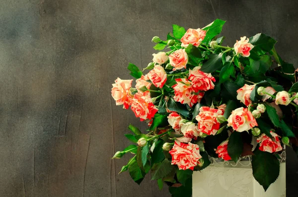 Tiger Roses, rayé. Fleurs en Vase blanc sur fond foncé, carte pour la Saint-Valentin, espace de copie — Photo