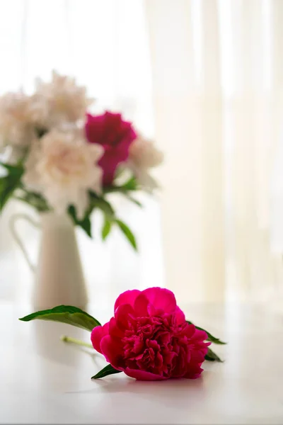 Flor de peonía rosa sobre mesa blanca. Vertical —  Fotos de Stock