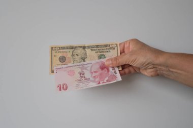 Türk Lirası ve ABD Doları yan yana