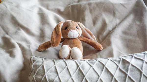 Plush animal doll on cushion