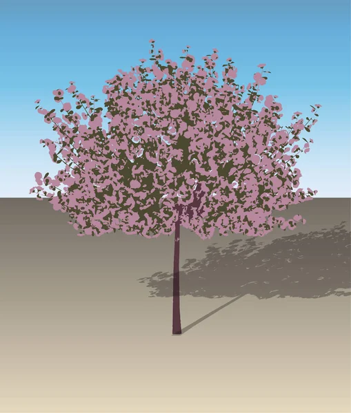 Sakura ağacı illüstrasyon vektör