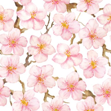 Beyaz arka planda vektör suluboya Sakura çiçek deseni. Koleksiyon Sakura çiçekler.