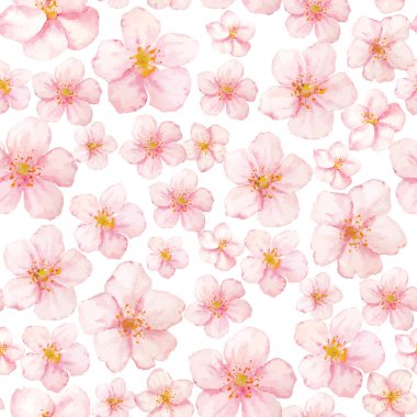 Beyaz arka planda vektör suluboya Sakura çiçek deseni. Koleksiyon Sakura çiçekler.