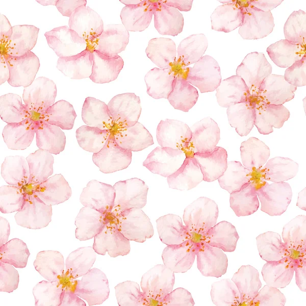Vektor akvarell Sakura virágok mintás fehér háttér. Gyűjtemény Szakura virágok. — Stock Vector