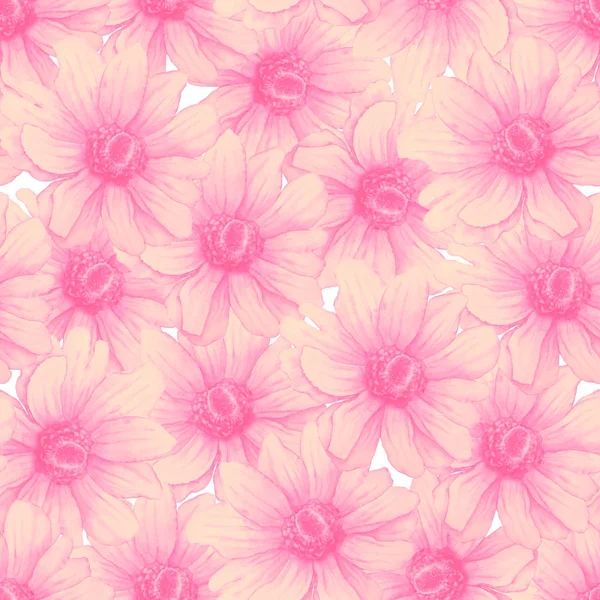 Aquarell buntes Muster mit rosa Anemonenblüten auf weißem Hintergrund. Handzeichnung Illustration — Stockfoto