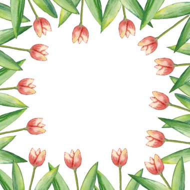 Suluboya yaprakları, yeşil yaprakları ve lale, beyaz arka plan üzerinde çiçek illüstrasyon el çizilmiş çerçeve