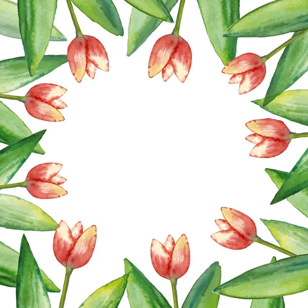 Hojas de acuarela, marco dibujado a mano de hojas verdes y tulipanes, ilustración floral sobre fondo blanco — Archivo Imágenes Vectoriales