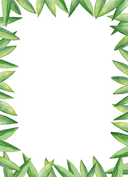 Hojas de acuarela, marco dibujado a mano de hojas verdes, ilustración floral sobre fondo blanco con espacio para su texto . — Archivo Imágenes Vectoriales