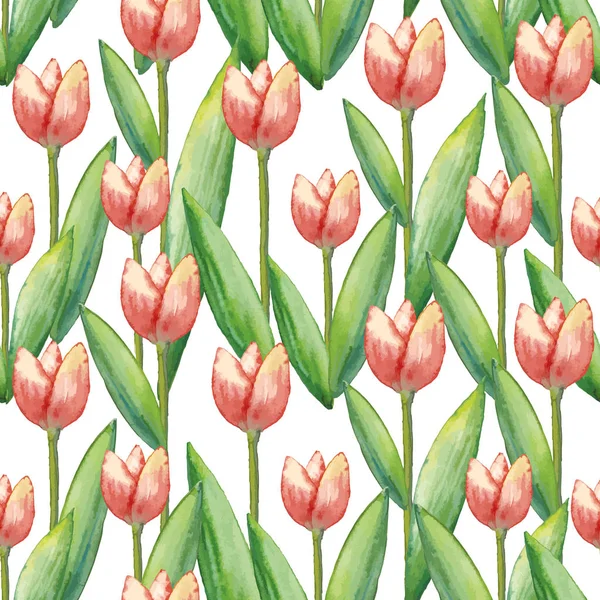 Vektor Aquarell Tulpen nahtloses Muster, handgezeichnete Illustration von Frühlingsblumen. — Stockvektor