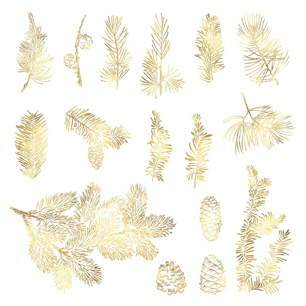 Set vector christmas golden branch Vector Graphics