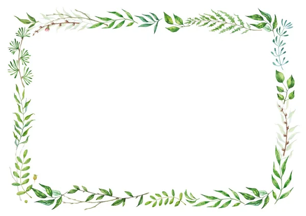 Kruiden mix vector frame. Hand geschilderd planten, takken en bladeren op een witte achtergrond. Natuurlijke kaart ontwerp. — Stockvector