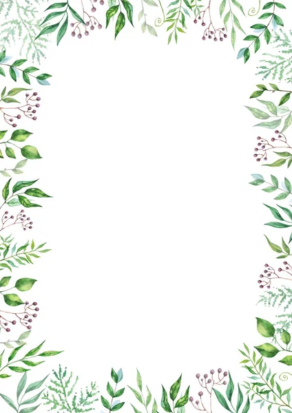 Marco de vector de mezcla de hierbas. Plantas, ramas y hojas pintadas a mano sobre fondo blanco. Diseño de tarjeta natural . — Archivo Imágenes Vectoriales