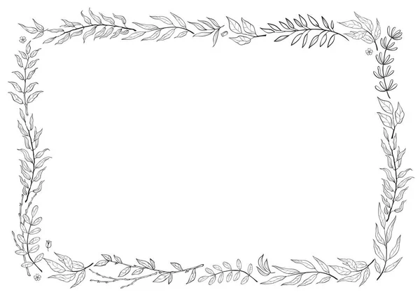 Telaio vettoriale mix di erbe in stile linea. Disegna a mano piante, rami e foglie su sfondo bianco. Cornice da colorare — Vettoriale Stock