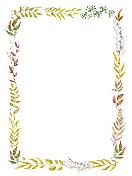 Herbal mix vector frame. Handgeschilderde planten, takken en bladeren op witte achtergrond. Natuurlijke val kaart ontwerp. — Stockvector