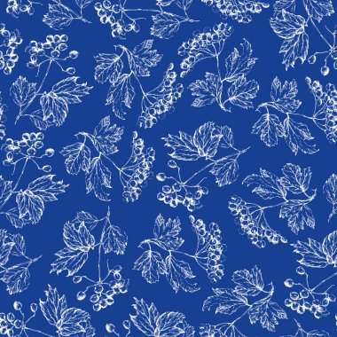 Viburnum ya da Guelder gülü, yapraklar ve böğürtlen desenleri beyaz üzerine izole edilmiş..