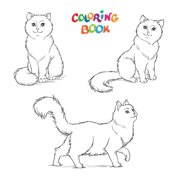 Colorir Livro Página Ilustração Com Três Gatos Fofinhos Bonitos Jogo —  Vetores de Stock
