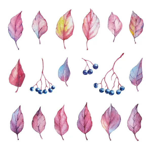 Ensemble Vectoriel Éléments Aquarelles Rouges Automne Baies Feuilles Collection Jardin — Image vectorielle