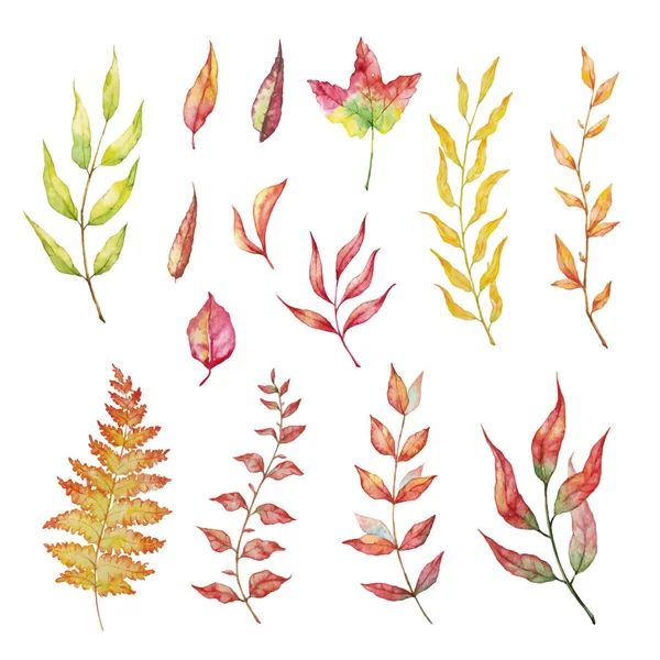 Vektor Set Roter Herbst Aquarellelemente Beeren Und Blatt Sammlung Garten — Stockvektor