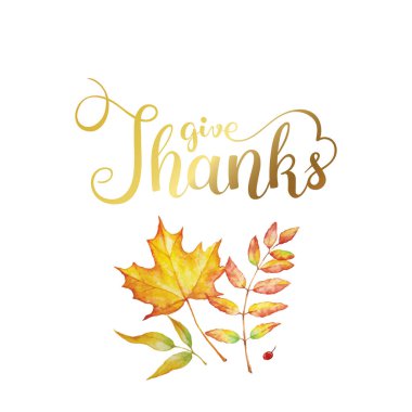Beyaz arka planda suluboya sonbahar yaprakları olan mutlu şükran günü metinleri. Tebrik kartları, davetiyeler, alıntılar ve dekorasyonlar için sonbahar illüstrasyonu.