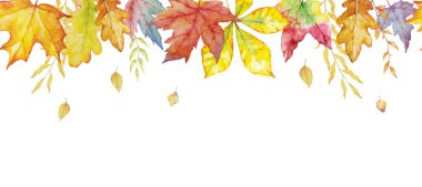 Bitkisel karışım vektör posteri. Suluboya bitkiler, dallar ve yapraklar beyaz arka planda. Tatil, kutlama ve davetiye için doğal sonbahar tasarımı.