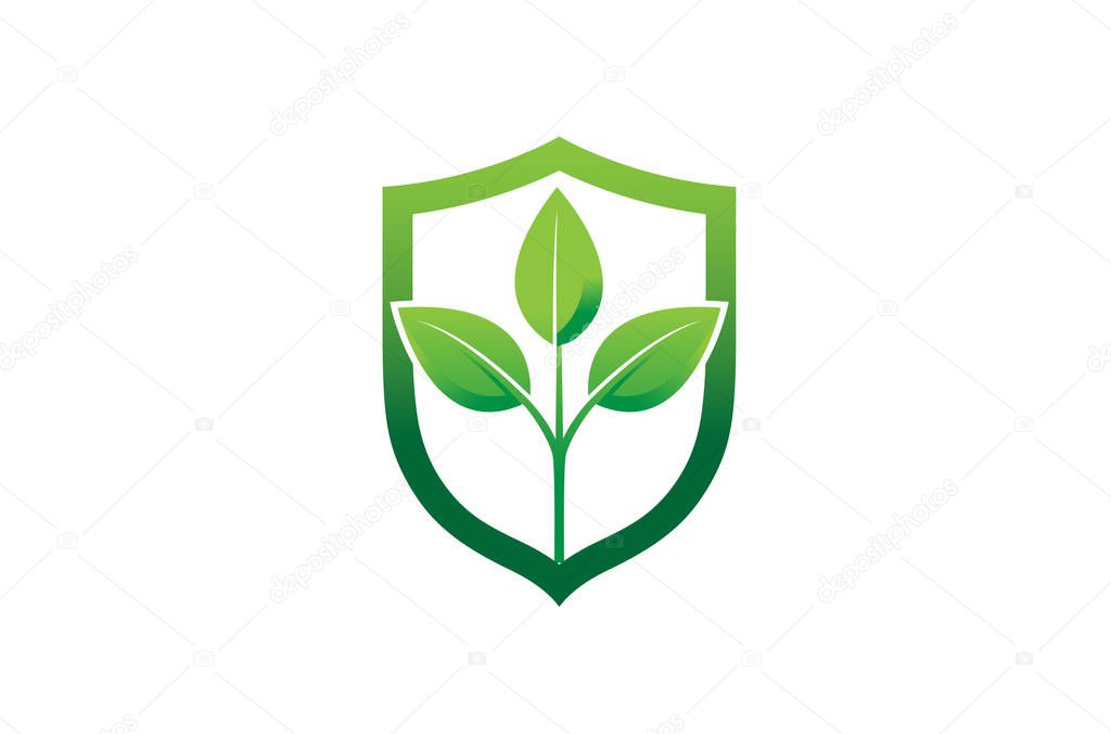 Creative Eco Leaves Plant Shield Logo Design Symbol Vector Illustration