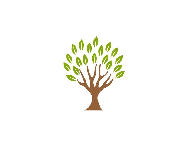 Kreativ Abstrakt Grün Baum Blätter Logo Design Vektor Symbol Illustration — Stockvektor