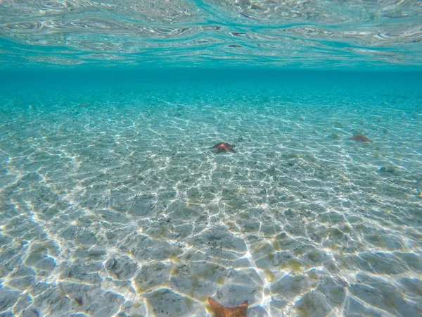 Vista Subaquática Água Cristalina Perfeita Mergulho Mar — Fotografia de Stock