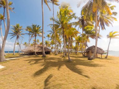 thatch huts / bungalows on small tropical island with palm trees clipart