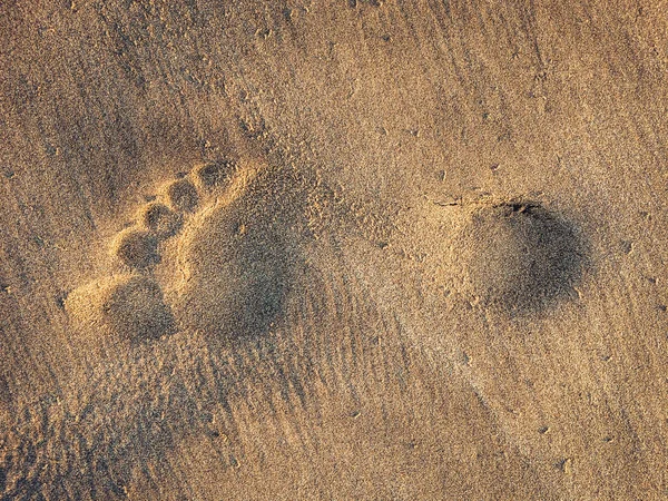 Fußabdruck Sand Barfuß Auf Sand Strand — Stockfoto