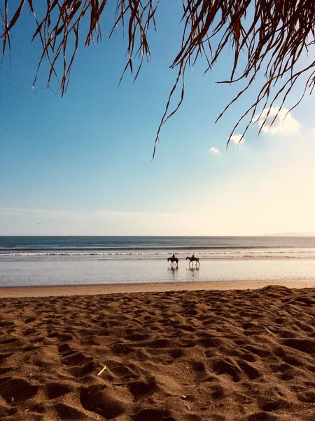 两个人骑马在有海平线背景的海滩上 — 图库照片