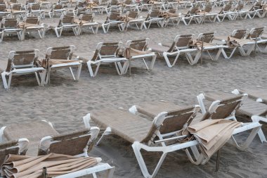Sahilde bir sürü güneş yatağı  -