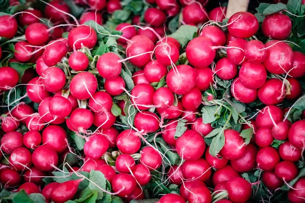 Red radish on the market - pile of red radish - — Stock Photo, Image