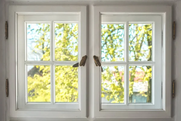 Wooden window with sunny garden view - looking through old doubl — 스톡 사진