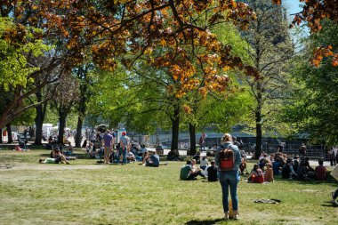 Berlin 'de güneşli bir yaz gününde parkta çayırdaki genç insanlar
