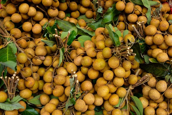 Piyasada Dimocarpus Longan Veya Longan Meyvesi — Stok fotoğraf