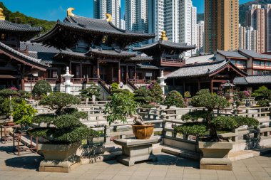 Hong Kong, Çin - Kasım 2019: The Chi Lin Nunnery, Hong Kong 'da büyük bir Budist tapınağı