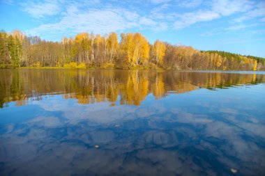 Açık mavi gölü ve sarı sonbahar ağaçlarıyla güzel bir sonbahar manzarası. Beyaz bulutlu gökyüzü ve sonbahar sarı ağaçları suyun aynasına yansıyor..