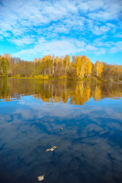 Piękny Jesienny Krajobraz Jasnym Błękitnym Jeziorem Żółtymi Jesiennymi Drzewami Niebo — Zdjęcie stockowe