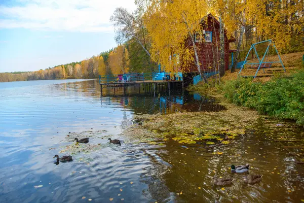 这座古老的木制房子坐落在美丽的蓝色湖畔的一个黄色的秋天森林里 秋天的黄树 映照在水面上 — 图库照片