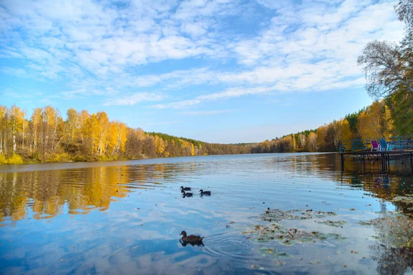 Piękny Jesienny Krajobraz Jasnym Błękitnym Jeziorem Żółtymi Jesiennymi Drzewami Niebo — Zdjęcie stockowe