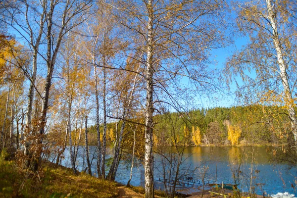 美丽的秋天风景 清澈的蓝湖 淡黄的秋天树 秋天的黄树 映照在水面上 — 图库照片