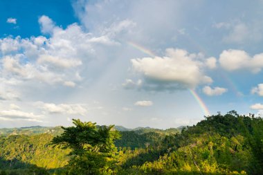 Yağmurdan sonra yağmur ormanlarının üstünde gökkuşağı