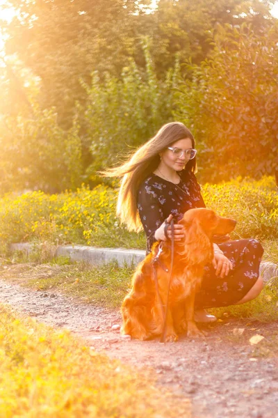 Atraktivní brunetka mladá žena s roztomilé štěně, zelený trávník listoví pozadím. Žena domácí jejího psa na trávě. — Stock fotografie