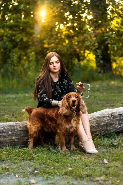 Молода жінка з собакою, в парку, сидить на дерев'яному колоді . — стокове фото