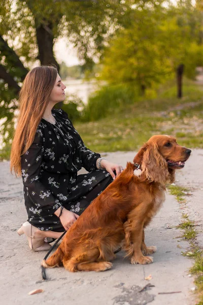 Žena sedí a hrát se svým psem. venčení v venkovní zelený park. — Stock fotografie