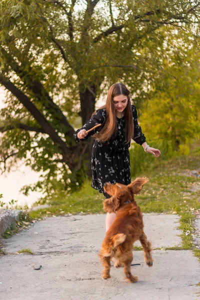 Krásná dívka si hraje s psem během chůze na venkovní park — Stock fotografie